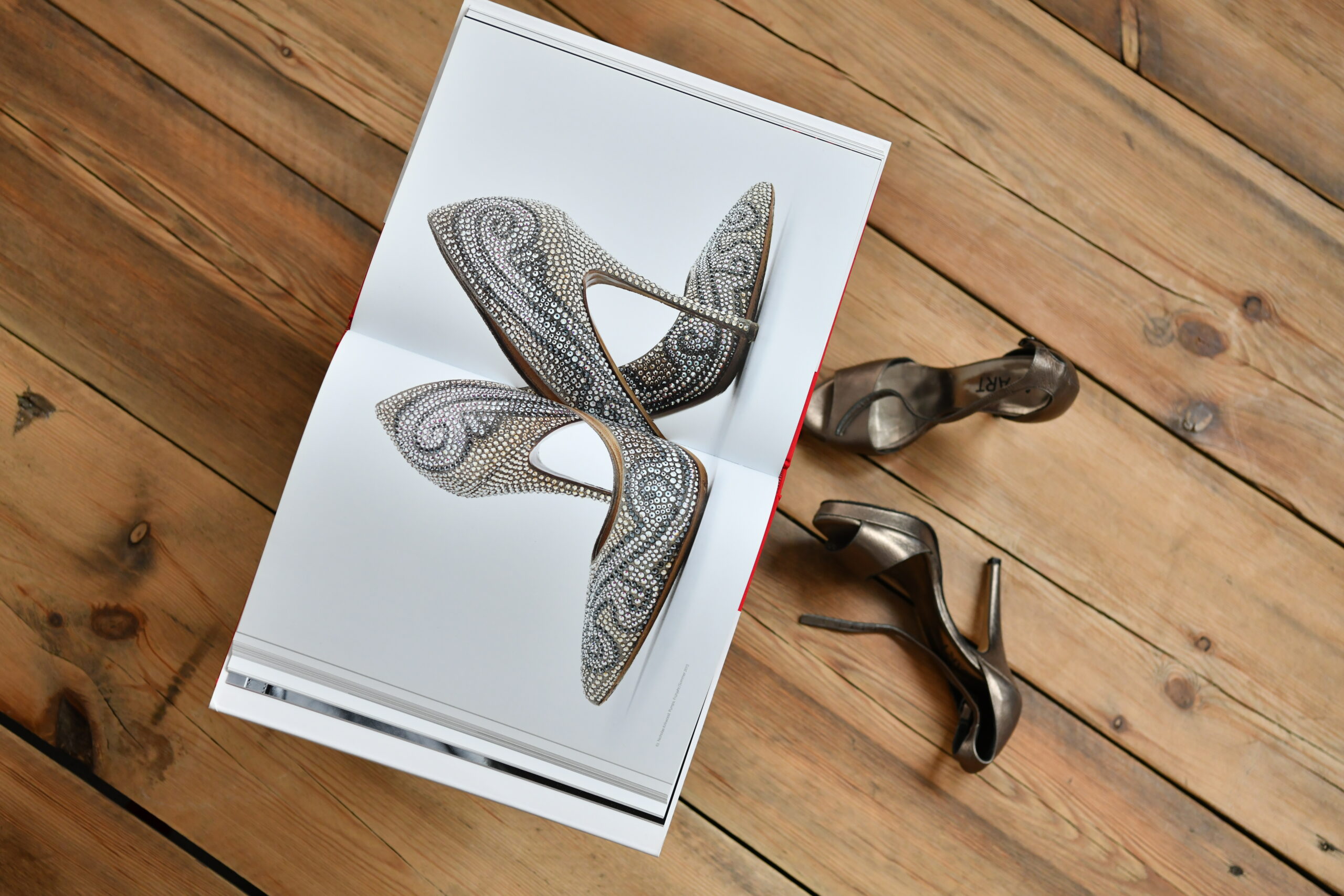 Luxury Fetish Companion